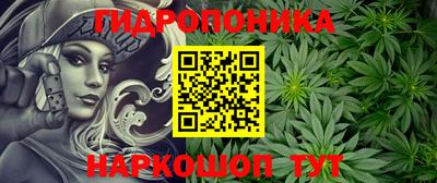стаф Свободный