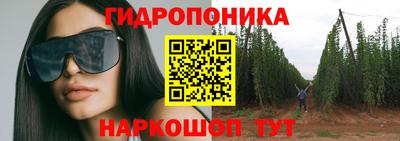 стаф Свободный
