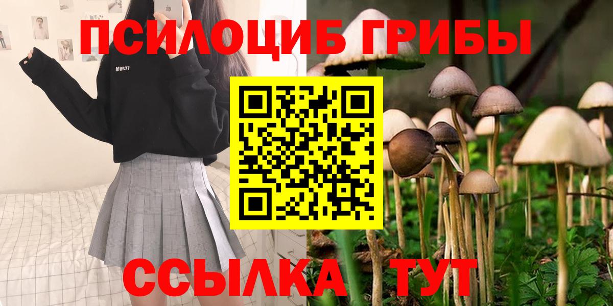 Псилоцибиновые грибы Psilocybe  Вход с VPN  Галлюциногенные грибы Psilocybe  Ялуторовск 